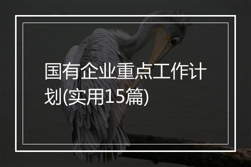 国有企业重点工作计划(实用15篇)