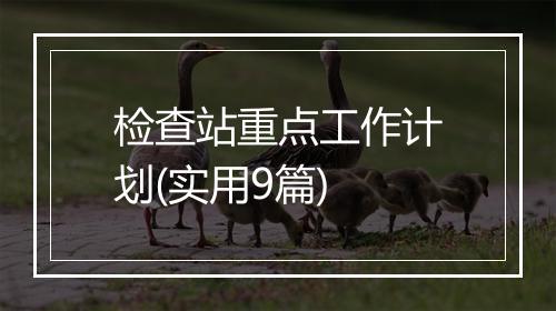 检查站重点工作计划(实用9篇)