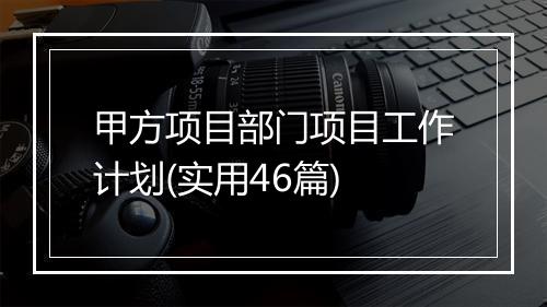 甲方项目部门项目工作计划(实用46篇)