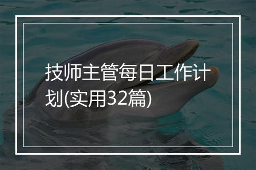 技师主管每日工作计划(实用32篇)