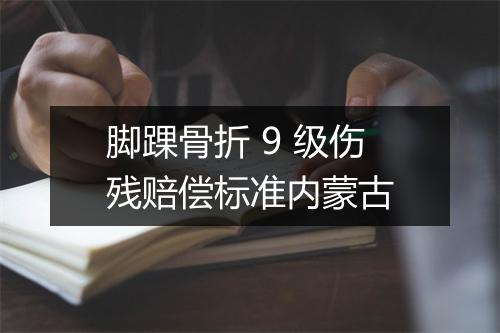 脚踝骨折 9 级伤残赔偿标准内蒙古