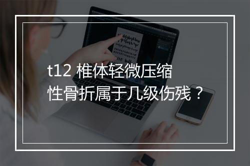 t12 椎体轻微压缩性骨折属于几级伤残？