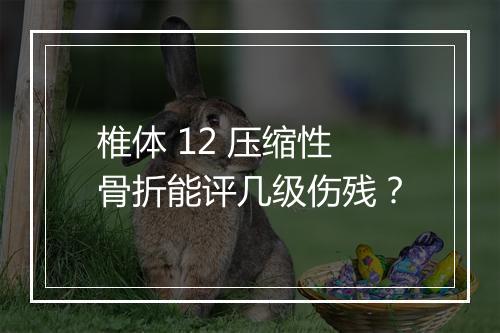 椎体 12 压缩性骨折能评几级伤残？