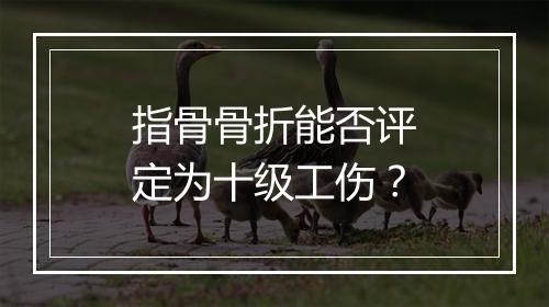 指骨骨折能否评定为十级工伤？