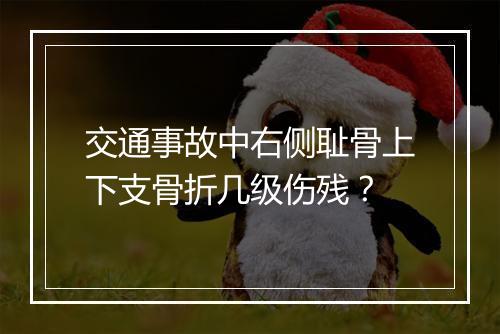 交通事故中右侧耻骨上下支骨折几级伤残？