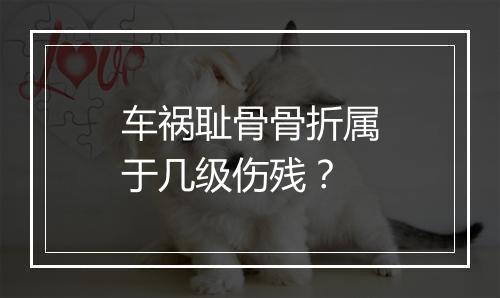 车祸耻骨骨折属于几级伤残？