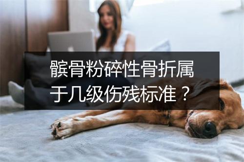 髌骨粉碎性骨折属于几级伤残标准？