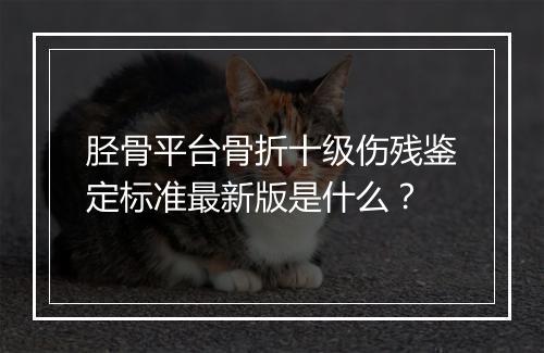 胫骨平台骨折十级伤残鉴定标准最新版是什么？
