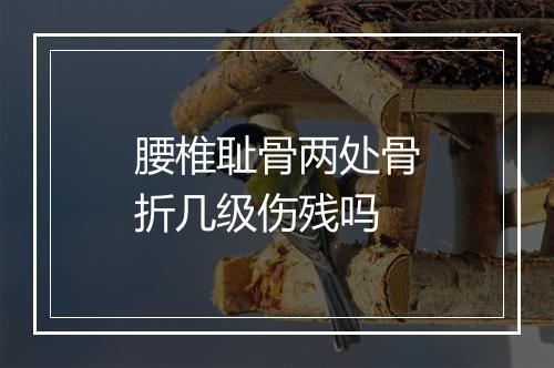 腰椎耻骨两处骨折几级伤残吗
