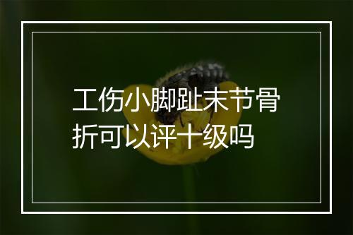 工伤小脚趾末节骨折可以评十级吗