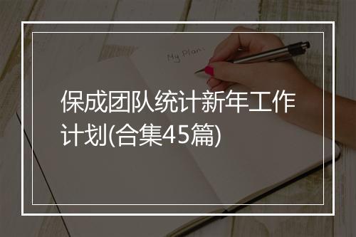保成团队统计新年工作计划(合集45篇)