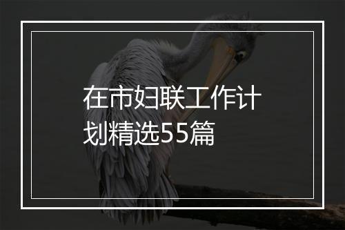 在市妇联工作计划精选55篇