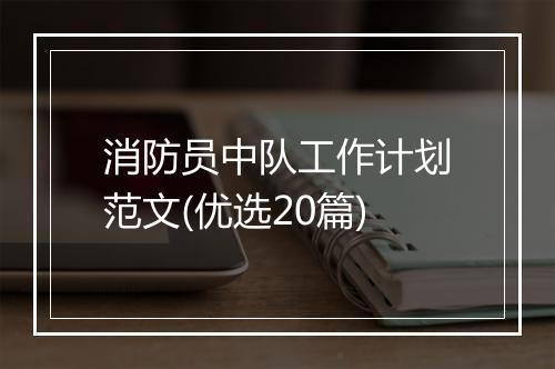 消防员中队工作计划范文(优选20篇)