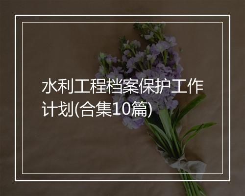 水利工程档案保护工作计划(合集10篇)
