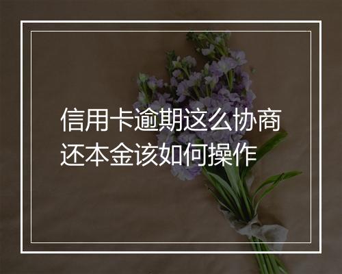 信用卡逾期这么协商还本金该如何操作