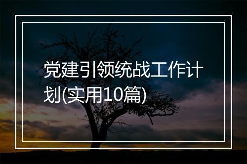党建引领统战工作计划(实用10篇)