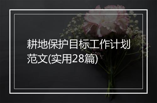 耕地保护目标工作计划范文(实用28篇)