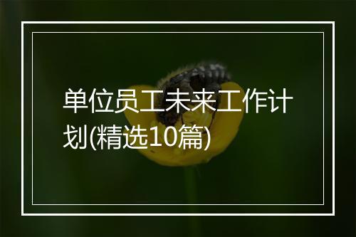 单位员工未来工作计划(精选10篇)