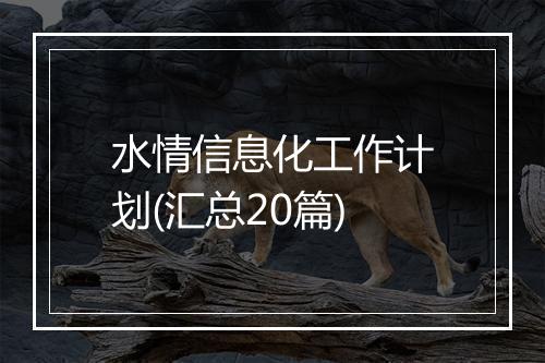 水情信息化工作计划(汇总20篇)