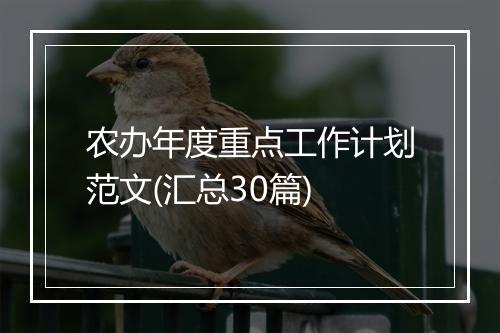 农办年度重点工作计划范文(汇总30篇)