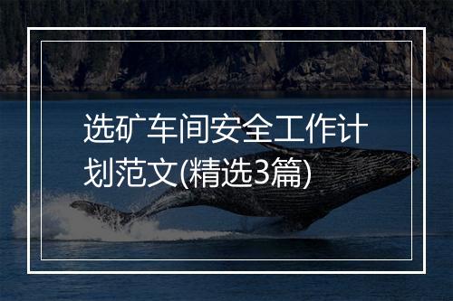 选矿车间安全工作计划范文(精选3篇)
