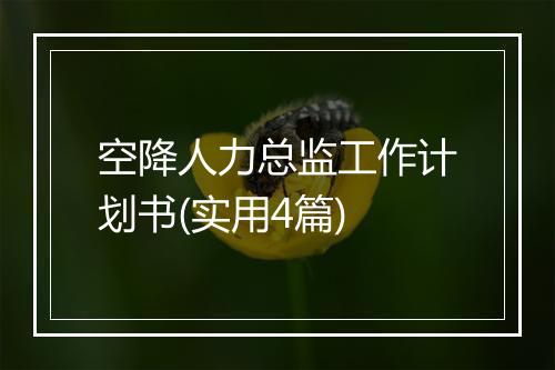 空降人力总监工作计划书(实用4篇)