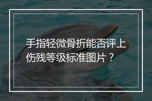 手指轻微骨折能否评上伤残等级标准图片？