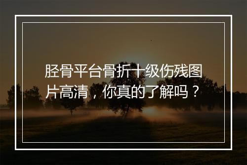 胫骨平台骨折十级伤残图片高清，你真的了解吗？