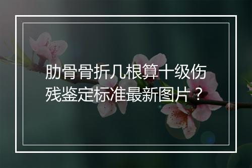 肋骨骨折几根算十级伤残鉴定标准最新图片？