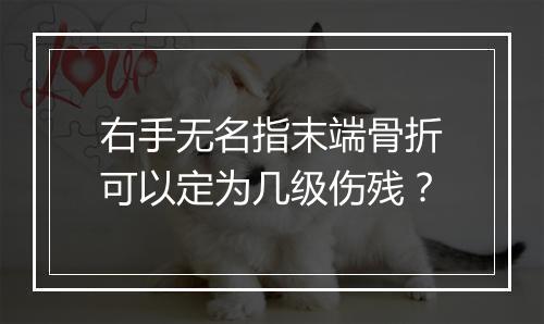 右手无名指末端骨折可以定为几级伤残？