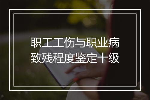 职工工伤与职业病致残程度鉴定十级