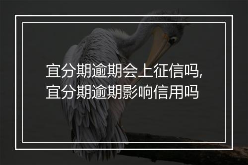 宜分期逾期会上征信吗,宜分期逾期影响信用吗