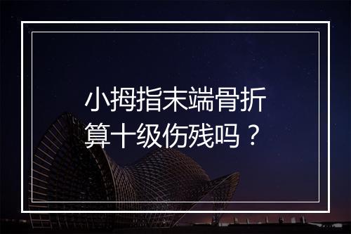 小拇指末端骨折算十级伤残吗？