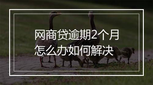 网商贷逾期2个月怎么办如何解决
