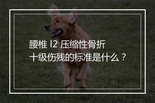 腰椎 l2 压缩性骨折十级伤残的标准是什么？