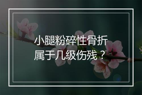 小腿粉碎性骨折属于几级伤残？