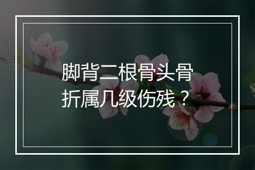 脚背二根骨头骨折属几级伤残？