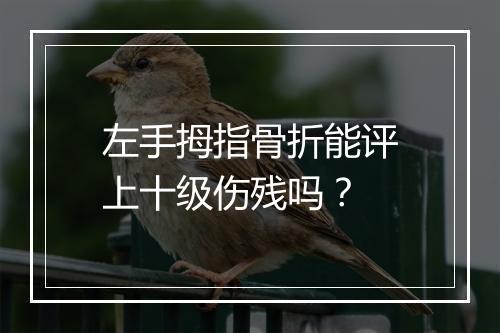 左手拇指骨折能评上十级伤残吗？