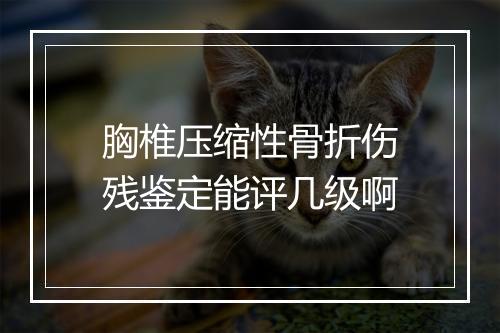 胸椎压缩性骨折伤残鉴定能评几级啊