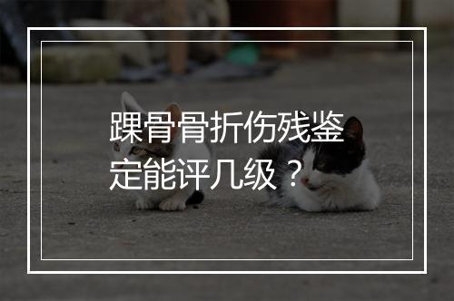 踝骨骨折伤残鉴定能评几级？