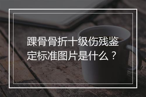 踝骨骨折十级伤残鉴定标准图片是什么？
