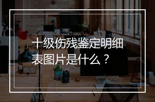 十级伤残鉴定明细表图片是什么？
