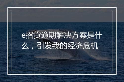 e招贷逾期解决方案是什么，引发我的经济危机