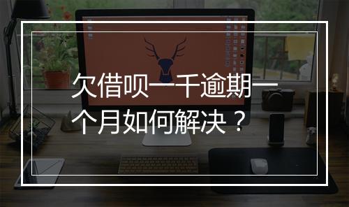 欠借呗一千逾期一个月如何解决？