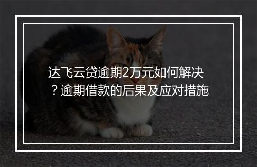 达飞云贷逾期2万元如何解决？逾期借款的后果及应对措施