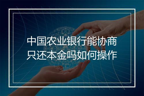 中国农业银行能协商只还本金吗如何操作