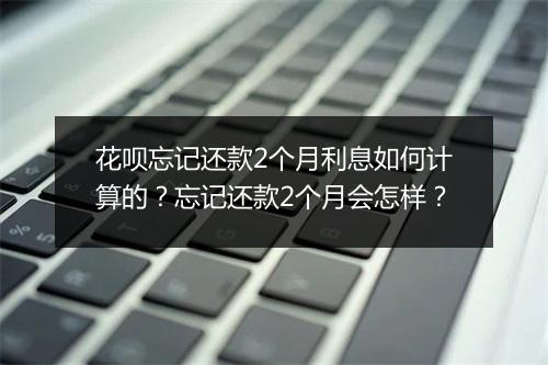 花呗忘记还款2个月利息如何计算的？忘记还款2个月会怎样？