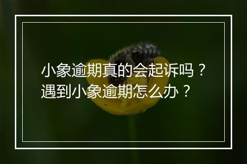 小象逾期真的会起诉吗？遇到小象逾期怎么办？