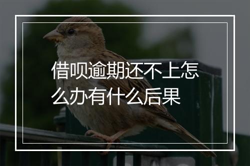 借呗逾期还不上怎么办有什么后果