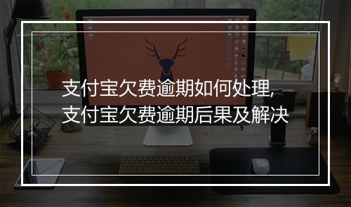 支付宝欠费逾期如何处理,支付宝欠费逾期后果及解决